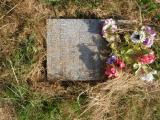 image of grave number 737385